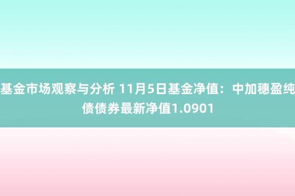 基金市场观察与分析 11月5日基金净值：中加穗盈纯债债券最新净值1.0901