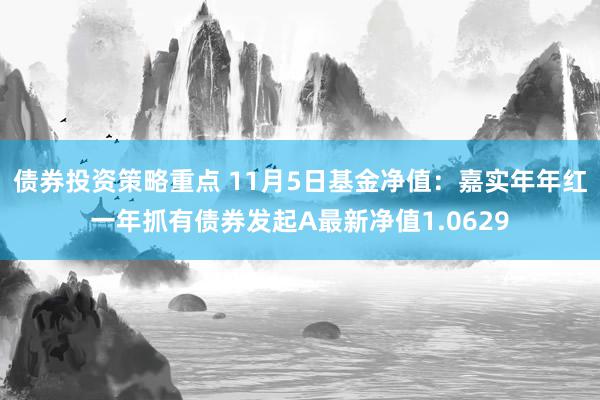 债券投资策略重点 11月5日基金净值：嘉实年年红一年抓有债券发起A最新净值1.0629