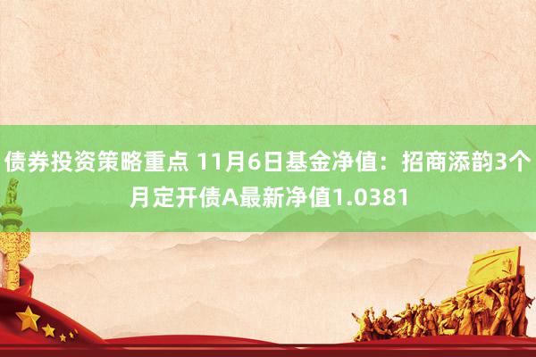 债券投资策略重点 11月6日基金净值：招商添韵3个月定开债A最新净值1.0381