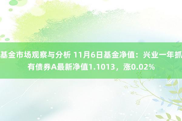 基金市场观察与分析 11月6日基金净值：兴业一年抓有债券A最新净值1.1013，涨0.02%