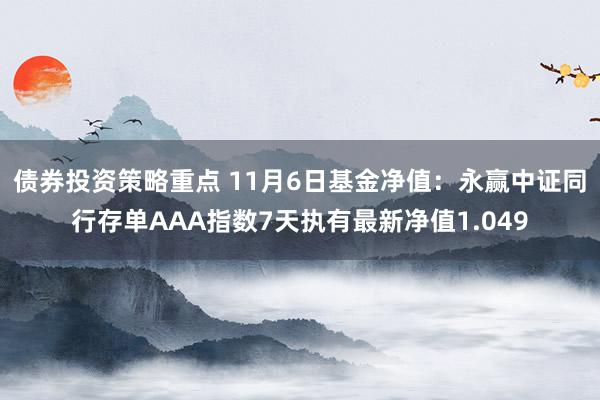 债券投资策略重点 11月6日基金净值：永赢中证同行存单AAA指数7天执有最新净值1.049