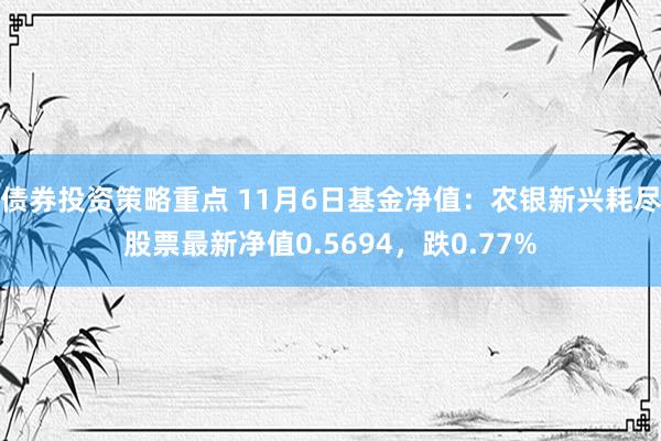 债券投资策略重点 11月6日基金净值：农银新兴耗尽股票最新净值0.5694，跌0.77%