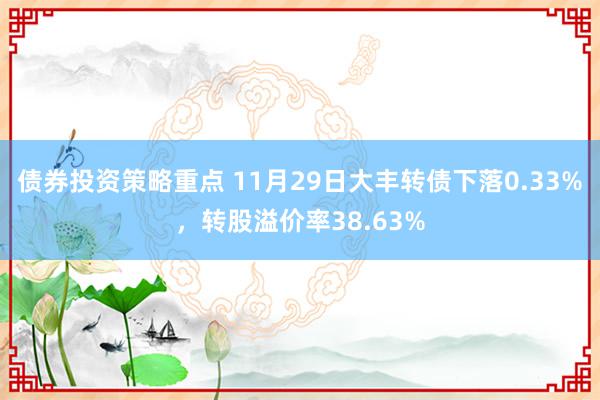 债券投资策略重点 11月29日大丰转债下落0.33%，转股溢价率38.63%