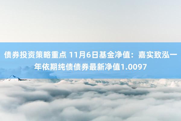 债券投资策略重点 11月6日基金净值：嘉实致泓一年依期纯债债券最新净值1.0097