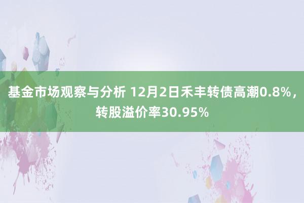 基金市场观察与分析 12月2日禾丰转债高潮0.8%，转股溢价率30.95%