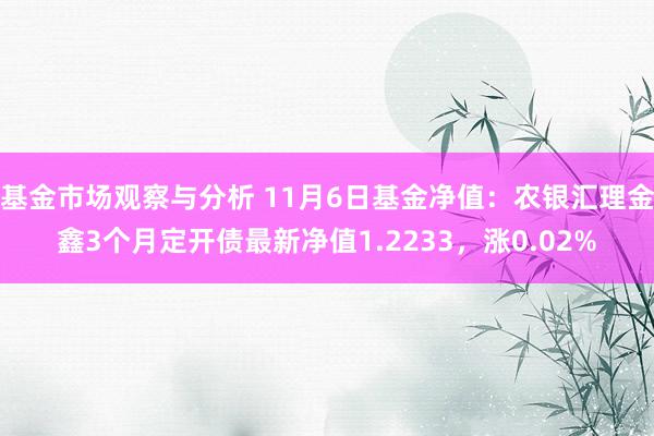 基金市场观察与分析 11月6日基金净值：农银汇理金鑫3个月定开债最新净值1.2233，涨0.02%