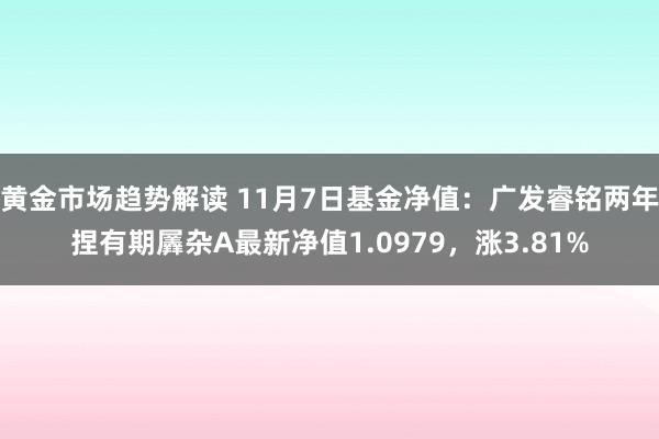 黄金市场趋势解读 11月7日基金净值：广发睿铭两年捏有期羼杂A最新净值1.0979，涨3.81%