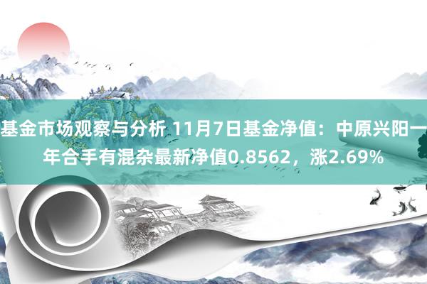 基金市场观察与分析 11月7日基金净值：中原兴阳一年合手有混杂最新净值0.8562，涨2.69%