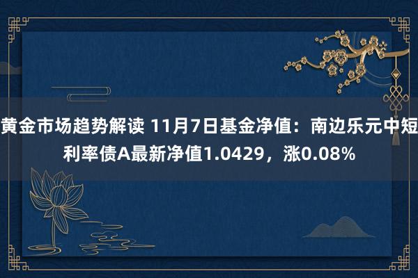 黄金市场趋势解读 11月7日基金净值：南边乐元中短利率债A最新净值1.0429，涨0.08%