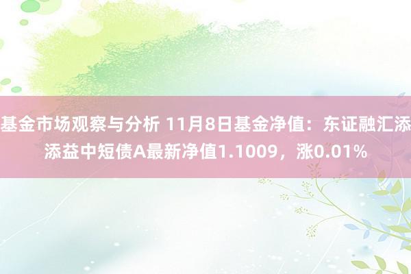 基金市场观察与分析 11月8日基金净值：东证融汇添添益中短债A最新净值1.1009，涨0.01%