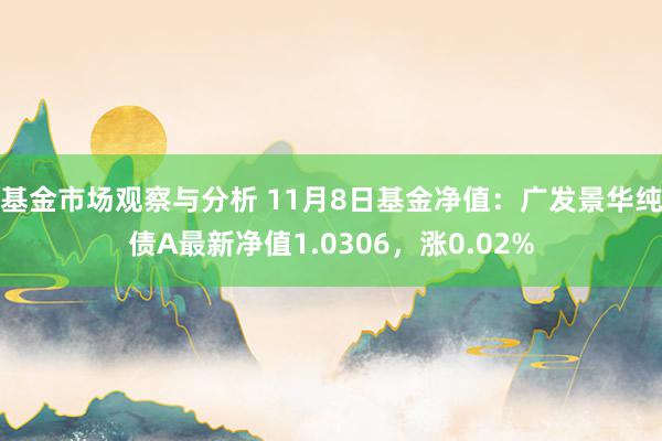 基金市场观察与分析 11月8日基金净值：广发景华纯债A最新净值1.0306，涨0.02%