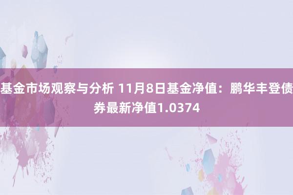 基金市场观察与分析 11月8日基金净值：鹏华丰登债券最新净值1.0374