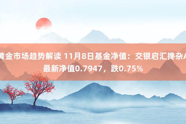 黄金市场趋势解读 11月8日基金净值：交银启汇搀杂A最新净值0.7947，跌0.75%