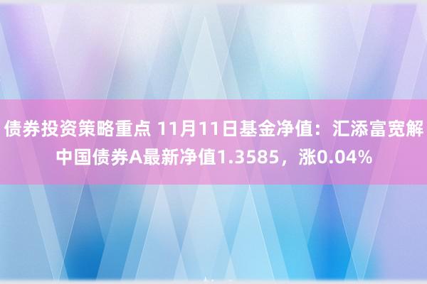 债券投资策略重点 11月11日基金净值：汇添富宽解中国债券A最新净值1.3585，涨0.04%