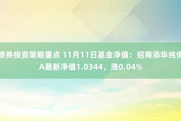 债券投资策略重点 11月11日基金净值：招商添华纯债A最新净值1.0344，涨0.04%