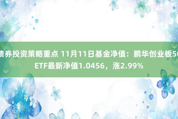 债券投资策略重点 11月11日基金净值：鹏华创业板50ETF最新净值1.0456，涨2.99%