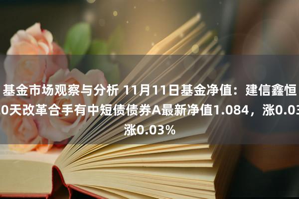 基金市场观察与分析 11月11日基金净值：建信鑫恒120天改革合手有中短债债券A最新净值1.084，涨0.03%