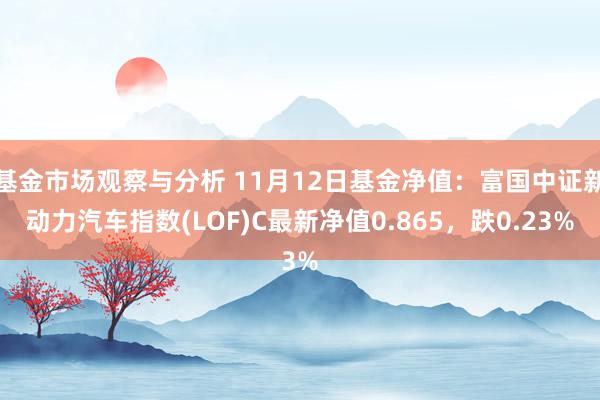 基金市场观察与分析 11月12日基金净值：富国中证新动力汽车指数(LOF)C最新净值0.865，跌0.23%