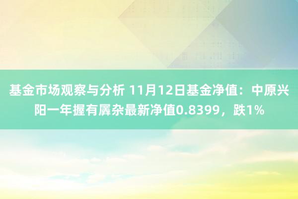 基金市场观察与分析 11月12日基金净值：中原兴阳一年握有羼杂最新净值0.8399，跌1%