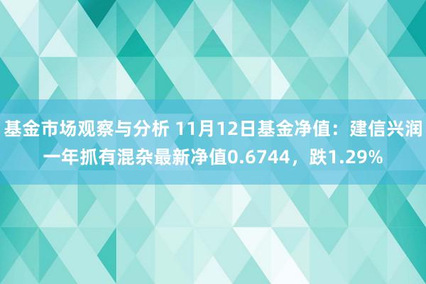 基金市场观察与分析 11月12日基金净值：建信兴润一年抓有混杂最新净值0.6744，跌1.29%