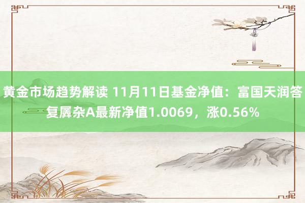 黄金市场趋势解读 11月11日基金净值：富国天润答复羼杂A最新净值1.0069，涨0.56%