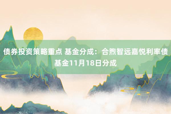 债券投资策略重点 基金分成：合煦智远嘉悦利率债基金11月18日分成