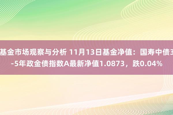 基金市场观察与分析 11月13日基金净值：国寿中债3-5年政金债指数A最新净值1.0873，跌0.04%