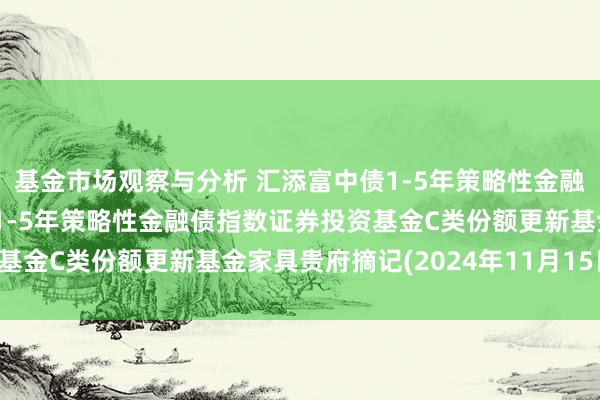 基金市场观察与分析 汇添富中债1-5年策略性金融债指数C: 汇添富中债1-5年策略性金融债指数证券投资基金C类份额更新基金家具贵府摘记(2024年11月15日更新)