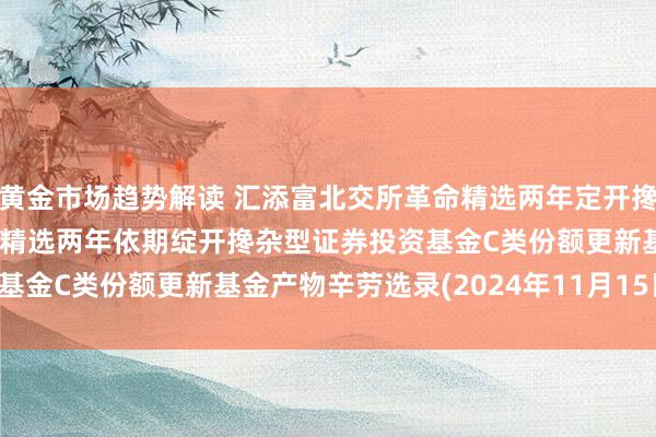 黄金市场趋势解读 汇添富北交所革命精选两年定开搀杂C: 汇添富北交所革命精选两年依期绽开搀杂型证券投资基金C类份额更新基金产物辛劳选录(2024年11月15日更新)