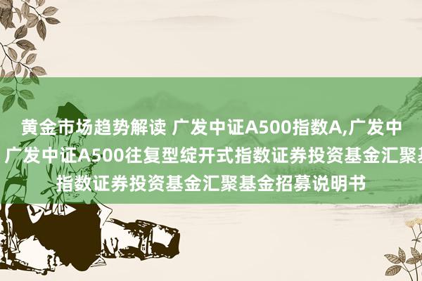 黄金市场趋势解读 广发中证A500指数A,广发中证A500指数C: 广发中证A500往复型绽开式指数证券投资基金汇聚基金招募说明书