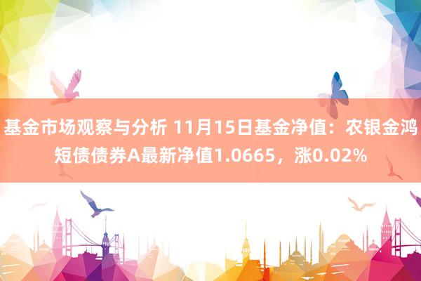 基金市场观察与分析 11月15日基金净值：农银金鸿短债债券A最新净值1.0665，涨0.02%