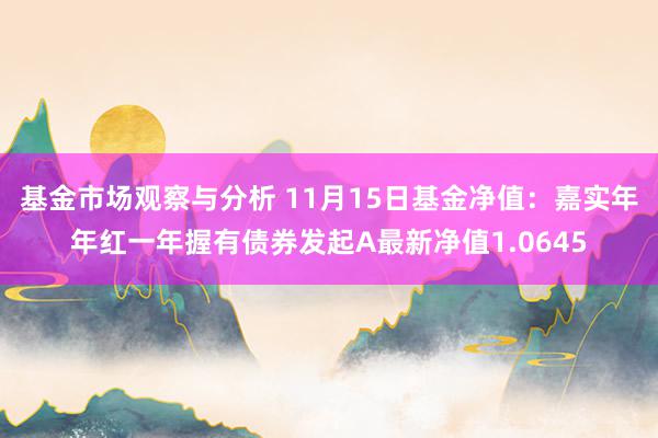 基金市场观察与分析 11月15日基金净值：嘉实年年红一年握有债券发起A最新净值1.0645