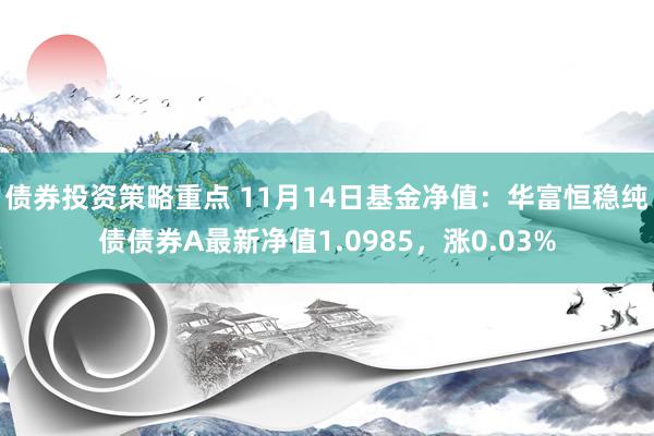 债券投资策略重点 11月14日基金净值：华富恒稳纯债债券A最新净值1.0985，涨0.03%