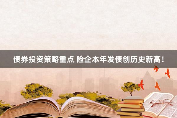 债券投资策略重点 险企本年发债创历史新高！