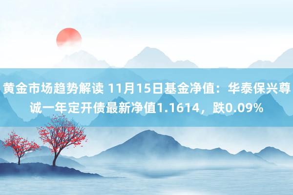 黄金市场趋势解读 11月15日基金净值：华泰保兴尊诚一年定开债最新净值1.1614，跌0.09%