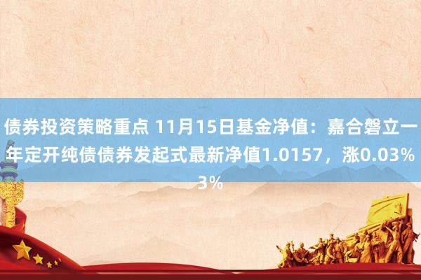 债券投资策略重点 11月15日基金净值：嘉合磐立一年定开纯债债券发起式最新净值1.0157，涨0.03%