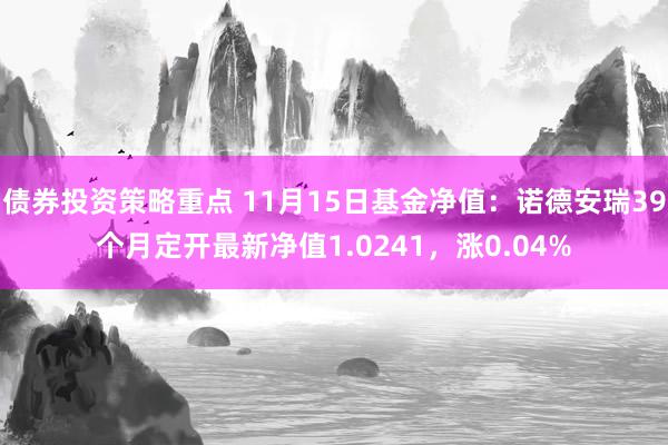 债券投资策略重点 11月15日基金净值：诺德安瑞39个月定开最新净值1.0241，涨0.04%