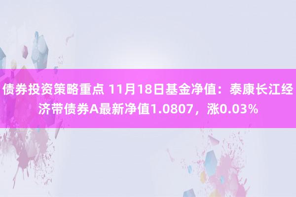 债券投资策略重点 11月18日基金净值：泰康长江经济带债券A最新净值1.0807，涨0.03%