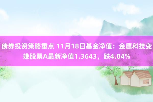 债券投资策略重点 11月18日基金净值：金鹰科技变嫌股票A最新净值1.3643，跌4.04%