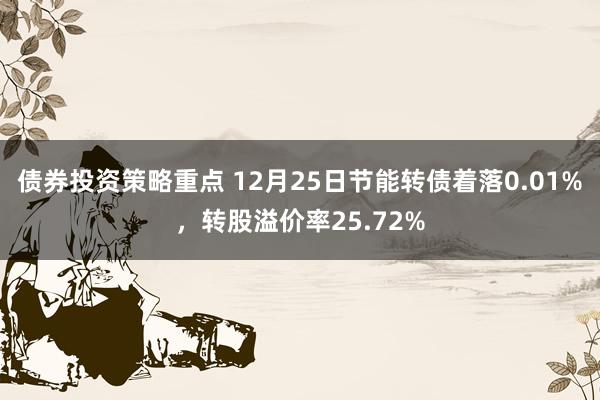 债券投资策略重点 12月25日节能转债着落0.01%，转股溢价率25.72%