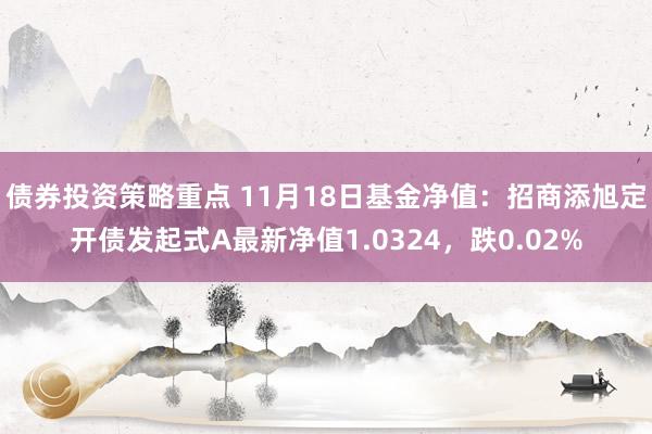 债券投资策略重点 11月18日基金净值：招商添旭定开债发起式A最新净值1.0324，跌0.02%