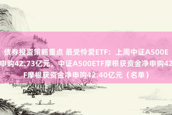 债券投资策略重点 最受怜爱ETF：上周中证A500ETF南边获资金净申购42.73亿元，中证A500ETF摩根获资金净申购42.40亿元（名单）