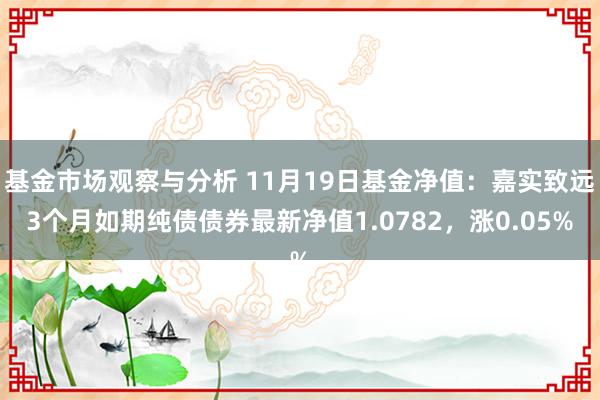 基金市场观察与分析 11月19日基金净值：嘉实致远3个月如期纯债债券最新净值1.0782，涨0.05%