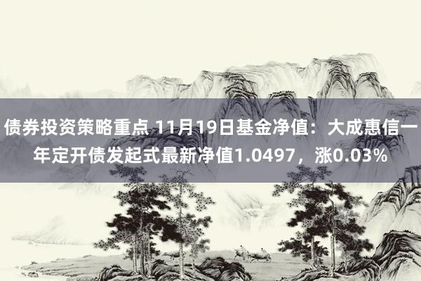 债券投资策略重点 11月19日基金净值：大成惠信一年定开债发起式最新净值1.0497，涨0.03%