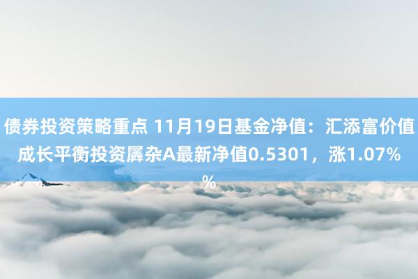 债券投资策略重点 11月19日基金净值：汇添富价值成长平衡投资羼杂A最新净值0.5301，涨1.07%