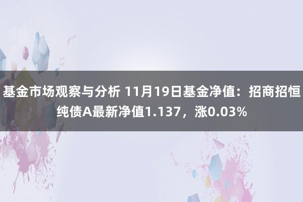 基金市场观察与分析 11月19日基金净值：招商招恒纯债A最新净值1.137，涨0.03%