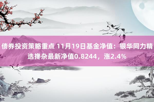 债券投资策略重点 11月19日基金净值：银华同力精选搀杂最新净值0.8244，涨2.4%