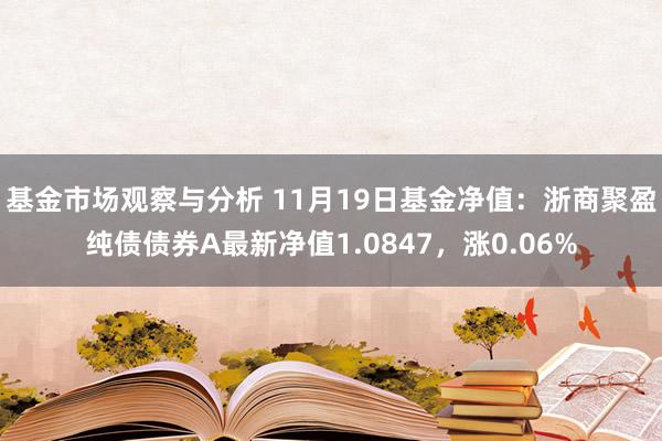 基金市场观察与分析 11月19日基金净值：浙商聚盈纯债债券A最新净值1.0847，涨0.06%