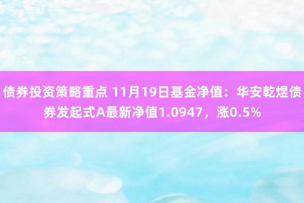 债券投资策略重点 11月19日基金净值：华安乾煜债券发起式A最新净值1.0947，涨0.5%