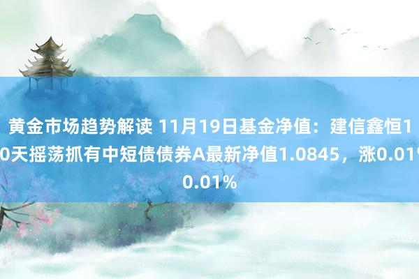 黄金市场趋势解读 11月19日基金净值：建信鑫恒120天摇荡抓有中短债债券A最新净值1.0845，涨0.01%